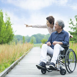 elderly asian man in wheelchair outdoors with wife