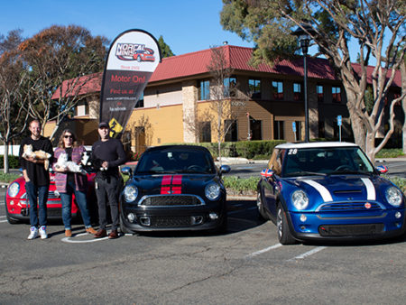 Mini Cooper cars with owners.