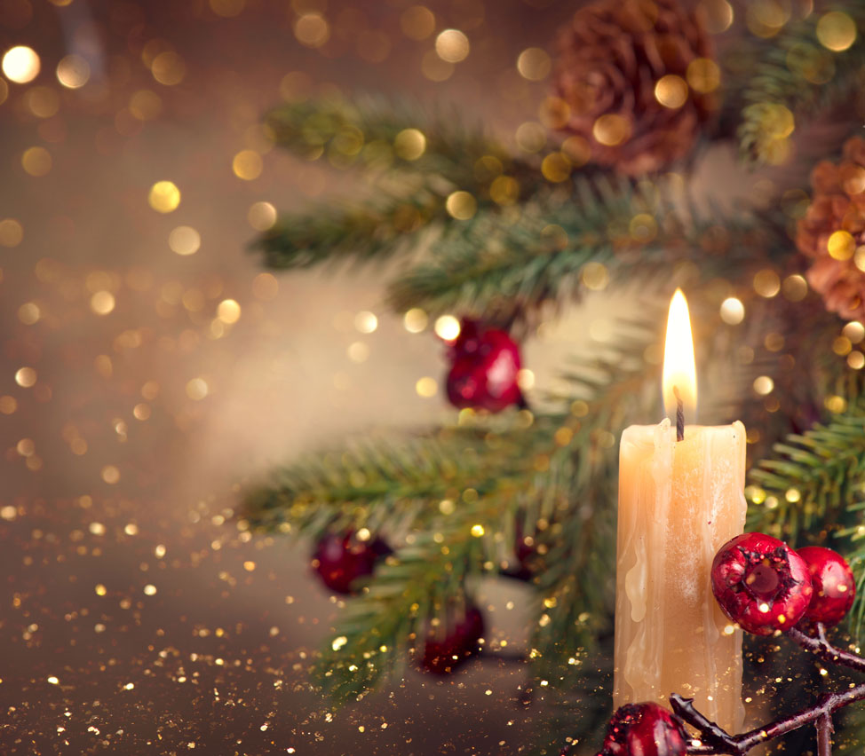 A candle is lit next to a pine tree