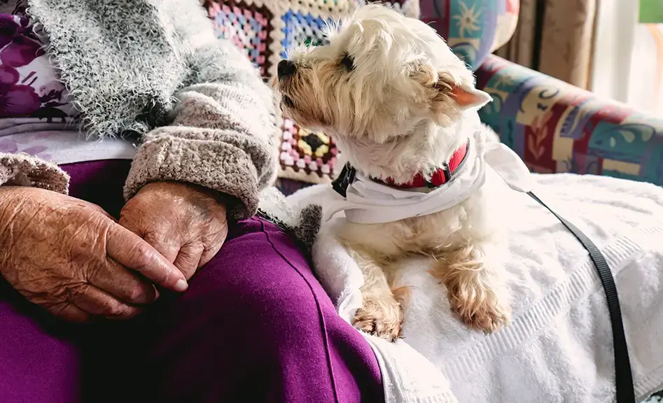 Learn more about complimentary care volunteering with By the Bay Health.